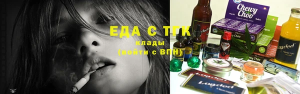 шишки Инсар