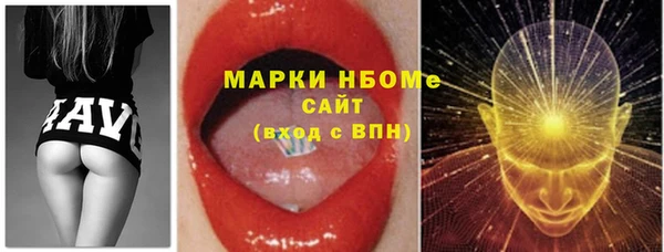 шишки Инсар