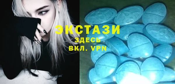 шишки Инсар