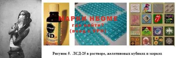 шишки Инсар