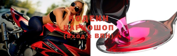 шишки Инсар