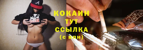 шишки Инсар