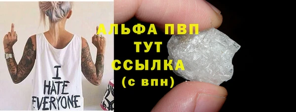 шишки Инсар