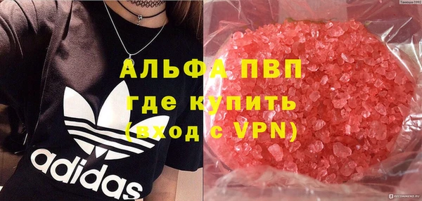 тгк Инта