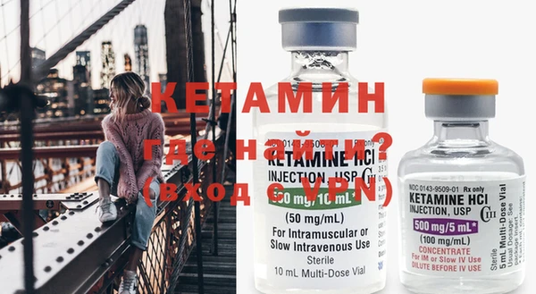 шишки Инсар