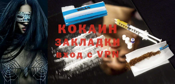 шишки Инсар