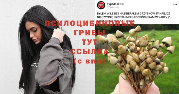 тгк Инта