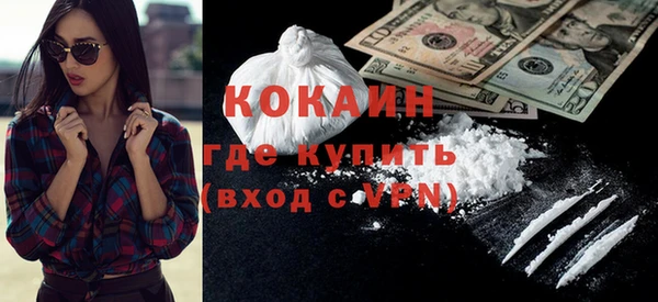 шишки Инсар