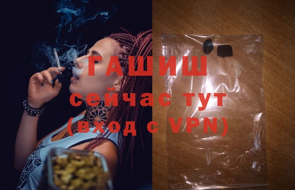 шишки Инсар