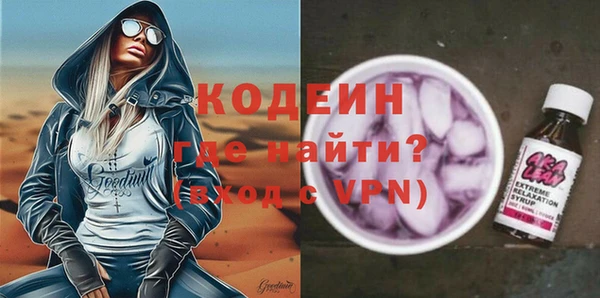 шишки Инсар