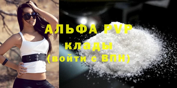шишки Инсар